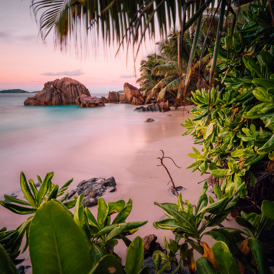 A Seychellois Honeymoon